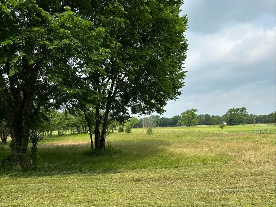 2421 S Fm 131, Denison, TX 75020 - #3