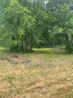 TBD E Main Street, Malakoff, TX 75148 - Image #3