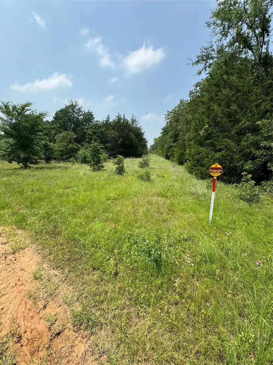 TBD Pr 613, Teague, TX 75860 - Image #3