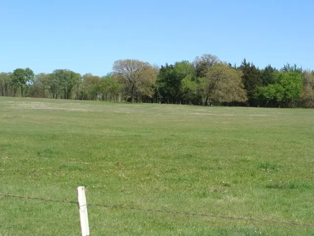 0 Tbd2 Fleming Road, Bells, TX 75414 - Image #3