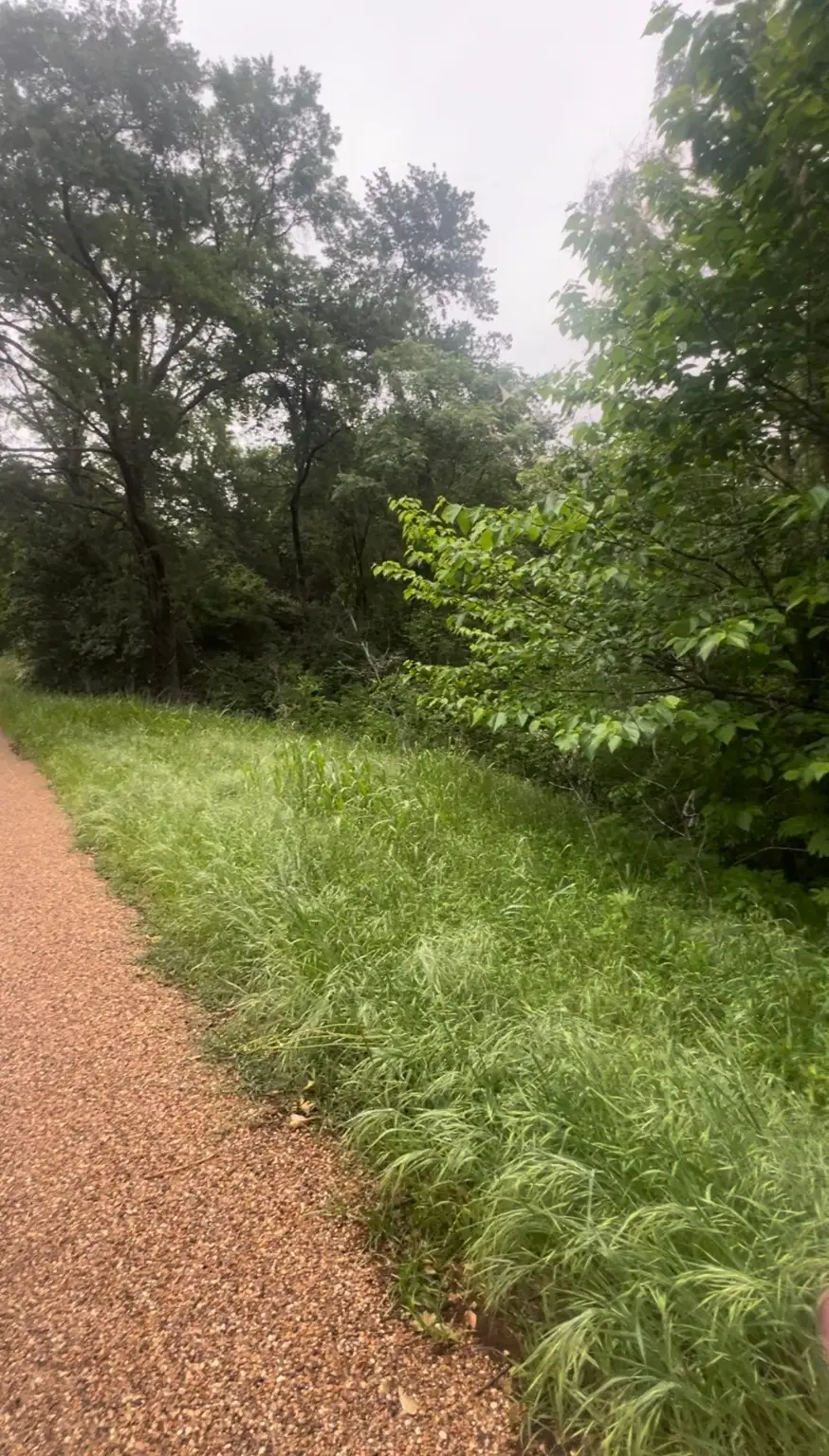 000 Cartwright Drive, Eustace, TX 75124 - Image #2