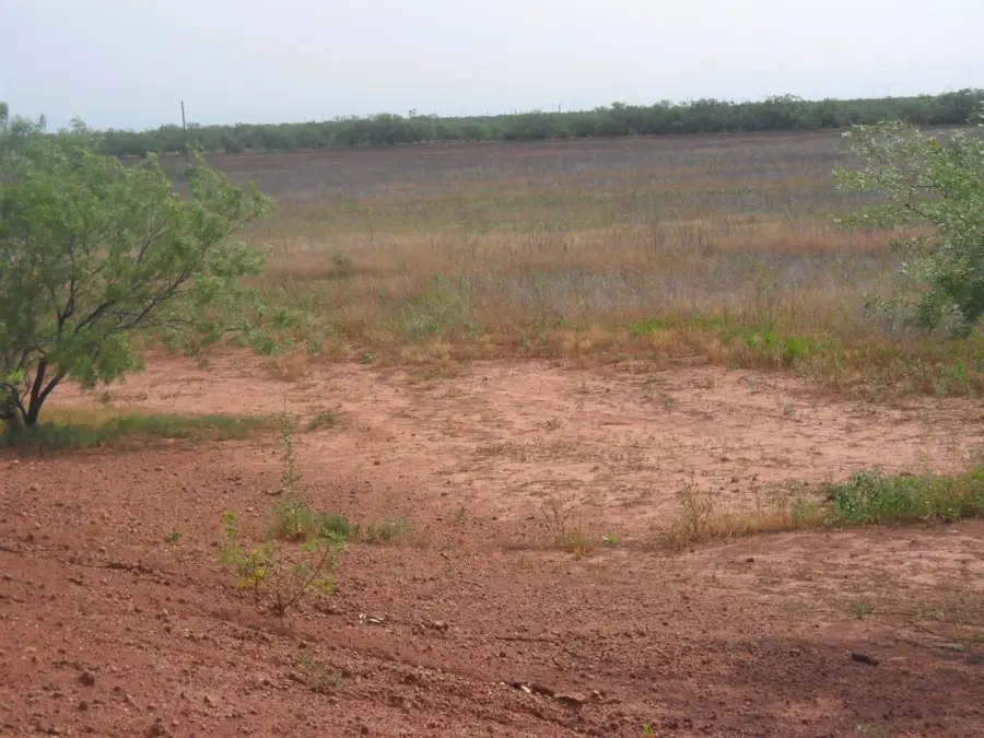 TBD fm 1750 Fm 1750, Abilene, TX 79602 - Image #3