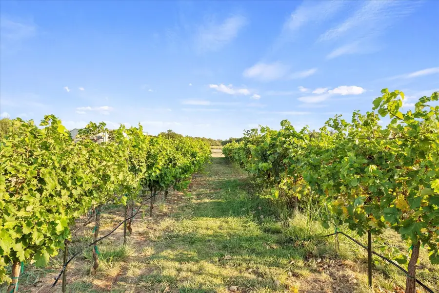 3399 S Peterson Road, Iowa Park, TX 76367 - Image #2