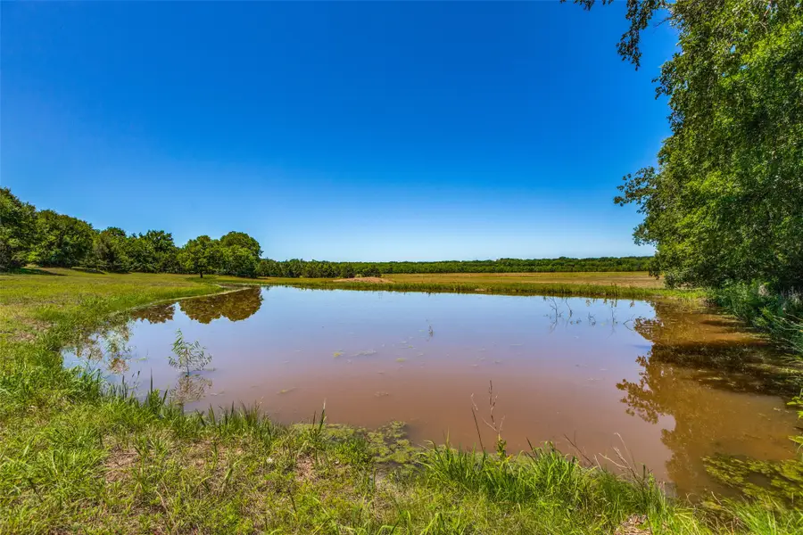 3121 County Road 494, Princeton, TX 75407 - Image #2
