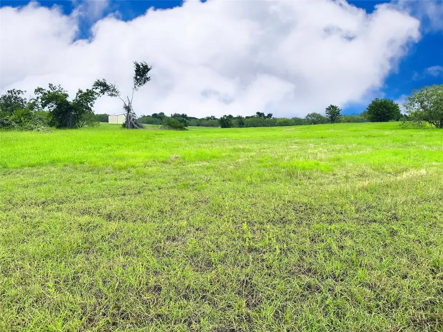 Lot 134 Lake Vista Drive, Streetman, TX 75859 - Image #3