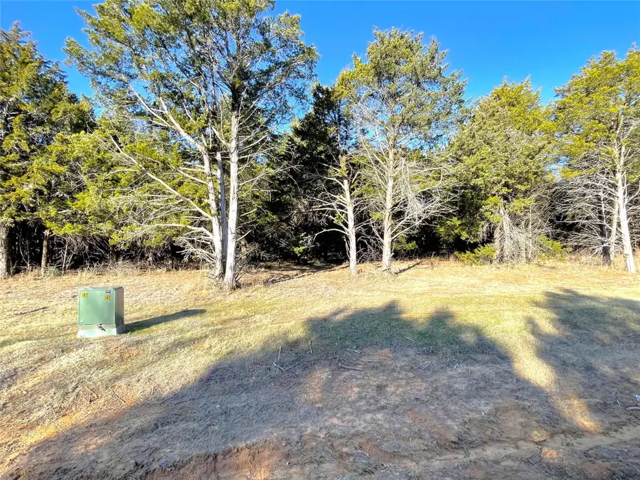 847 Eagle Oaks Drive, Gordonville, TX 76245 - Image #2