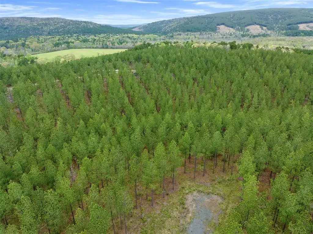 10 Three Waters, South Le Flore, OK 74957 - Image #1