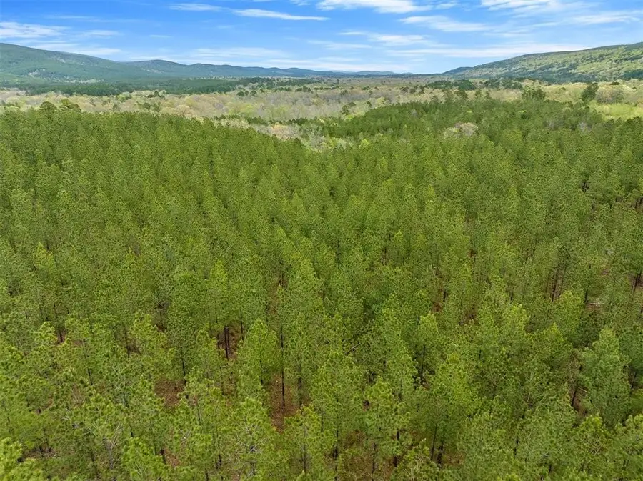 6 Three Waters, Newalla, OK 74857 - Image #3