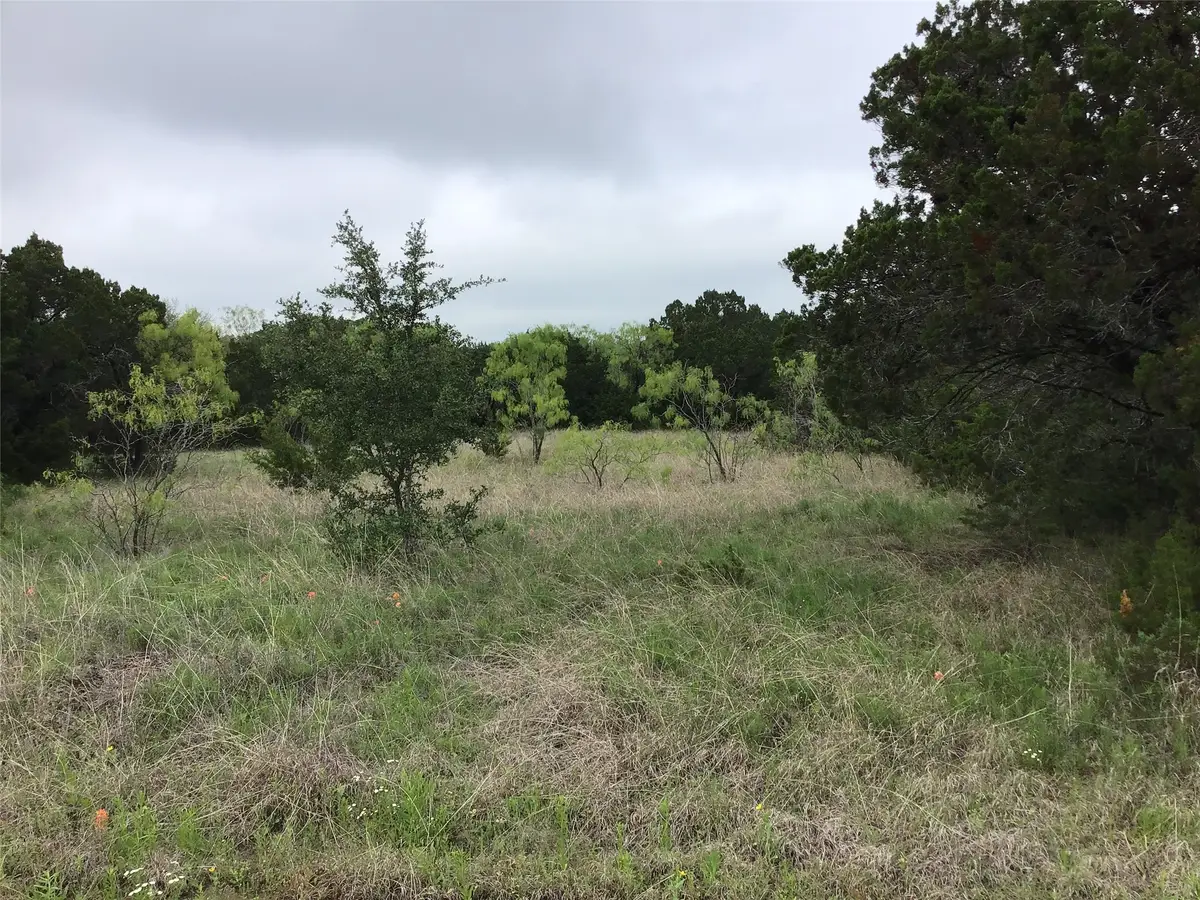 44163 High Crest Drive, Whitney, TX 76692 - #1