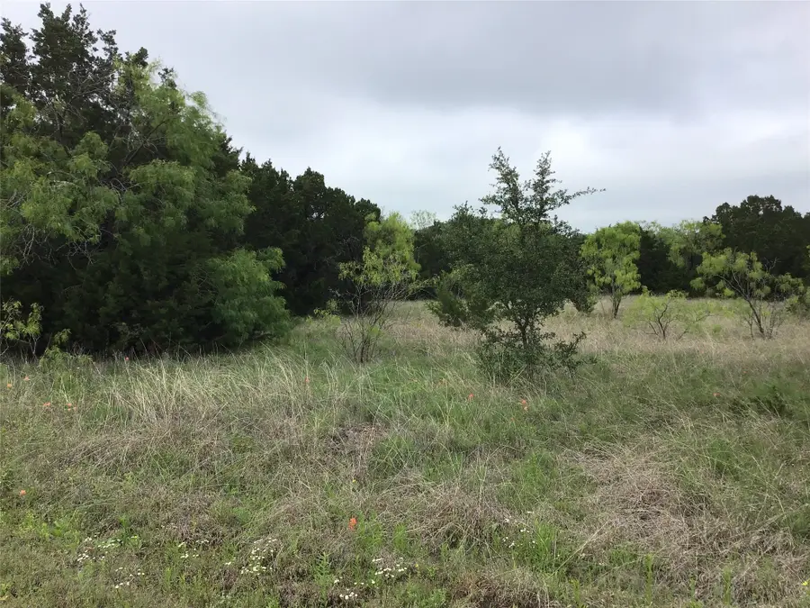 44163 High Crest Drive, Whitney, TX 76692 - #2