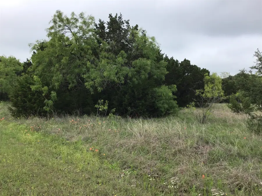 44163 High Crest Drive, Whitney, TX 76692 - #3