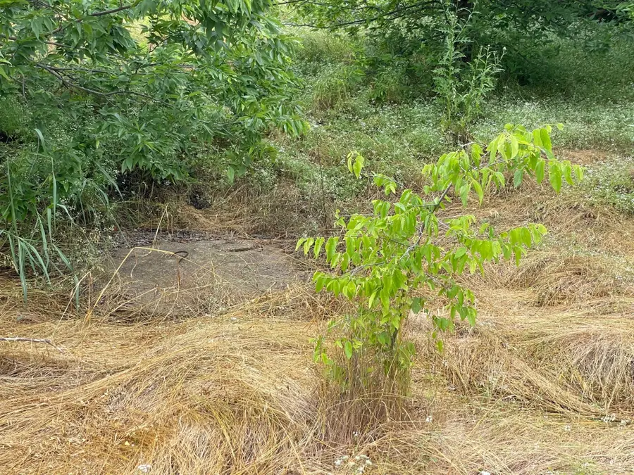 139 Cr-4713, Rhome, TX 76078 - Image #3