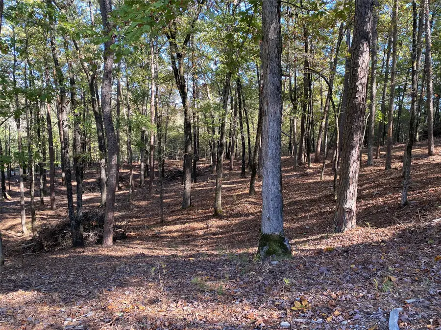 000 Ferncrest Drive, Little Rock, AR 72223 - Image #2