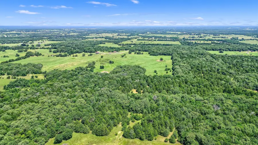 TBD Cr 113, Whitesboro, TX 76273 - Image #3