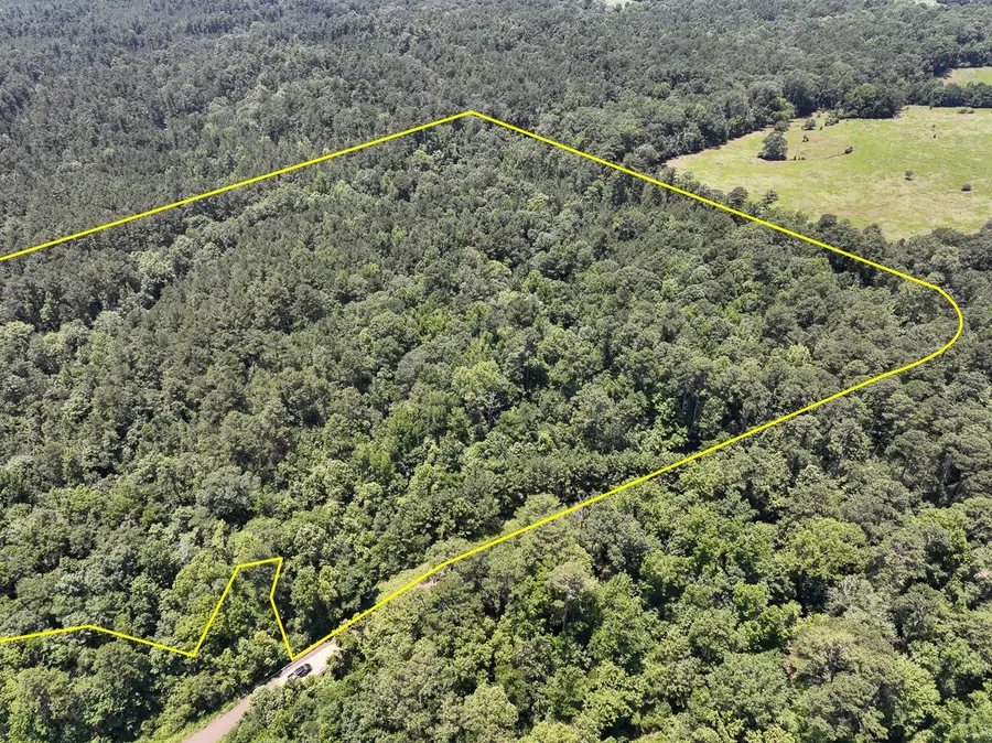 0 Lick Skillet Road, No City, TX 75959 - Image #2