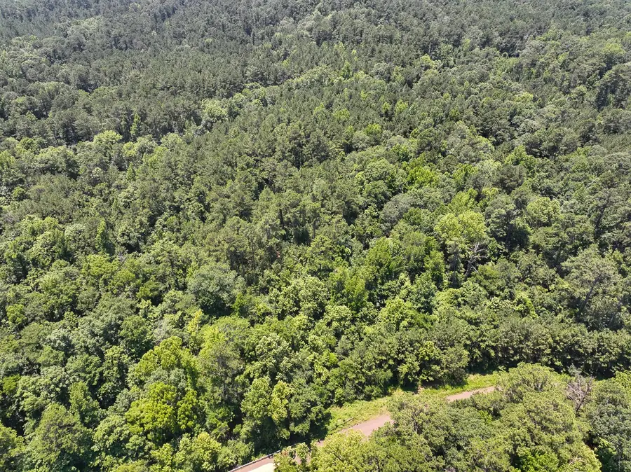 0 Lick Skillet Road, No City, TX 75959 - Image #3