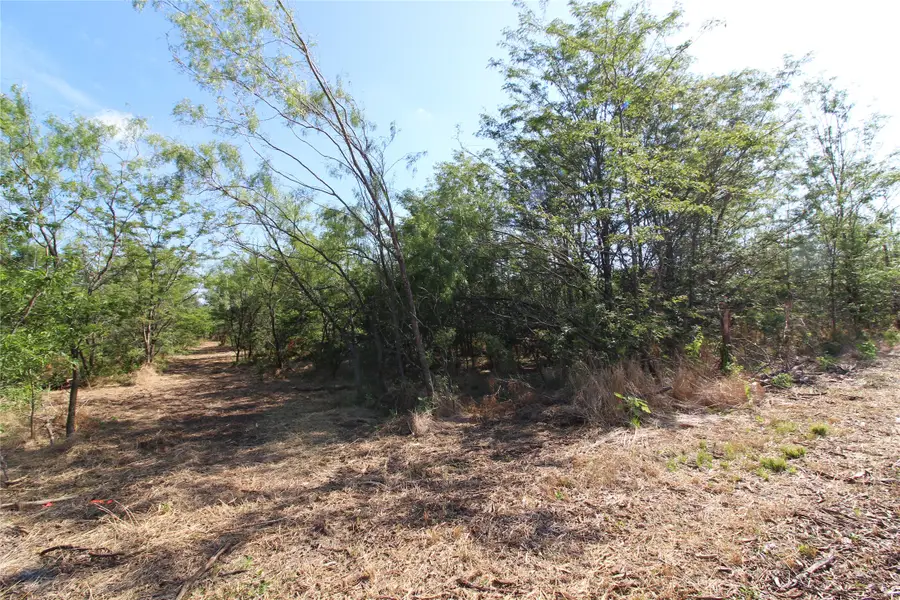 TBD Lot 1 County Road 146, Kaufman, TX 75142 - Image #3