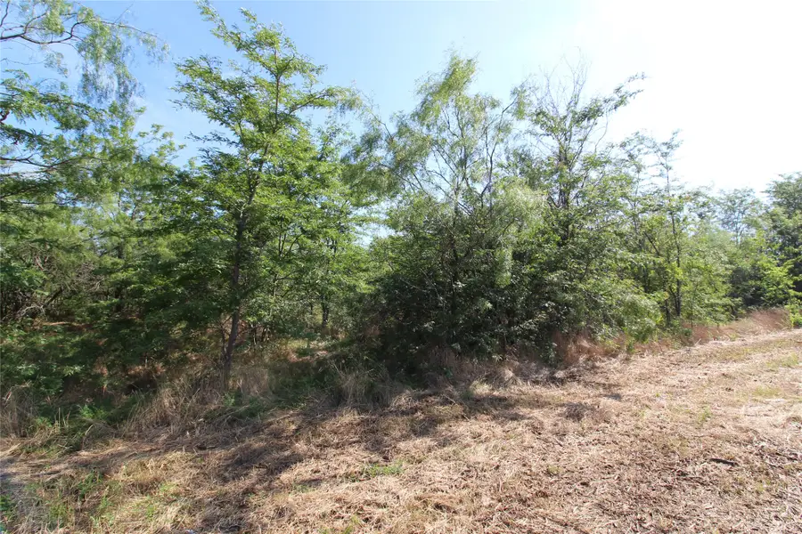 TBD Lot 6 Fm 2860, Kaufman, TX 75142 - Image #3