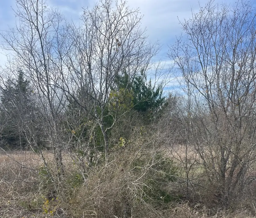 3765 Fm 85, Ennis, TX 75119 - Image #2