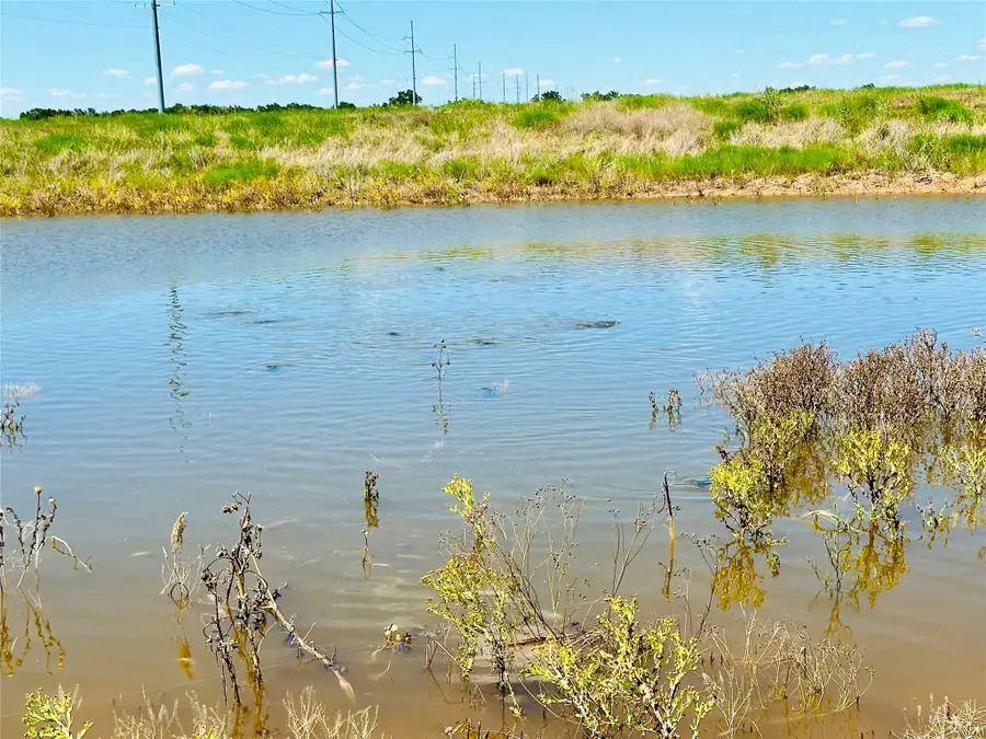 TBD Tx-206, Cross Plains, TX 76443 - Image #3