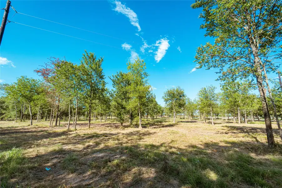 Lot 3 Cr 297, Gainesville, TX 76240 - Image #3