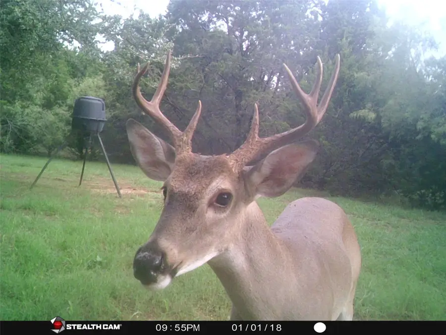 1181 Leaning Oak Trail, Whitney, TX 76692 - #3