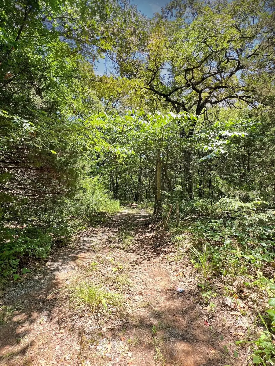 767 River Road, Colbert, OK 74733 - Image #3