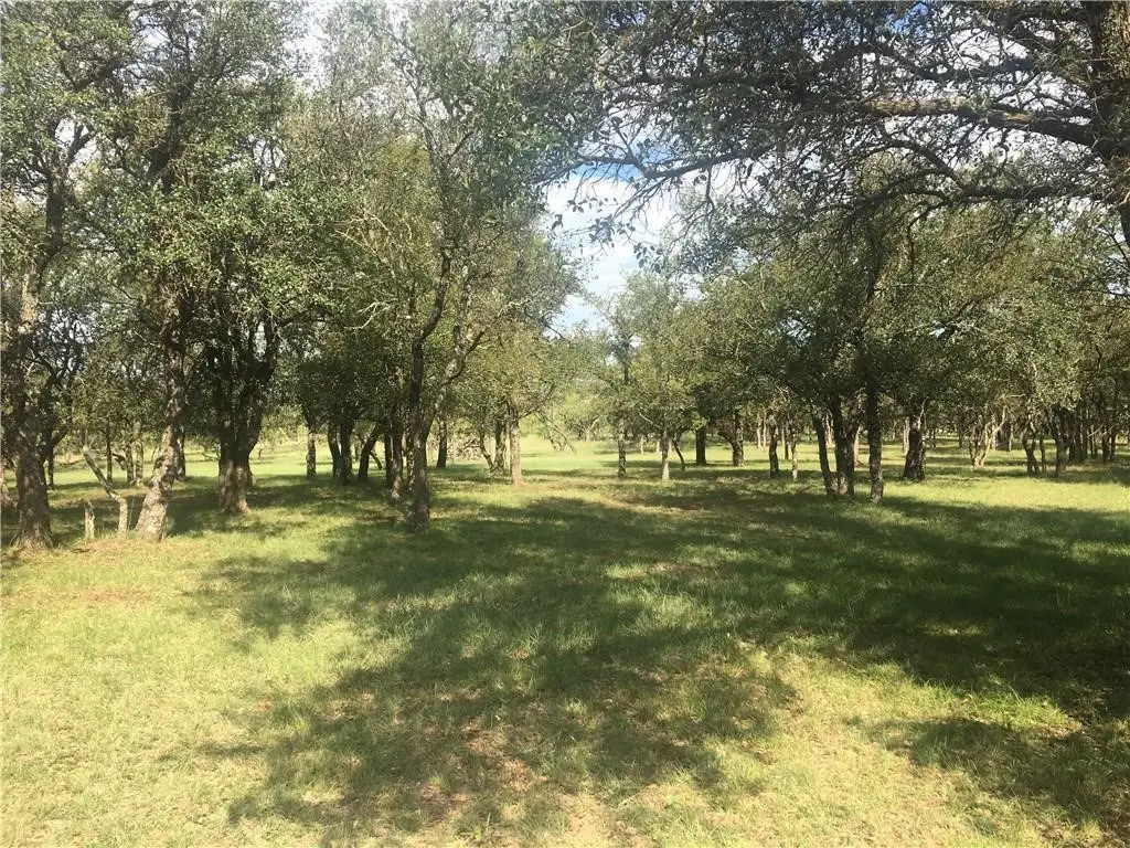 Lot 1074 Oak Point Drive, May, TX 76857 - Image #1