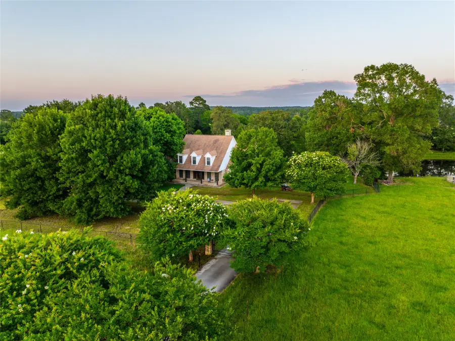 7369 Farm To Market Road 999, Long Branch Dotson, TX 75975 - Image #3