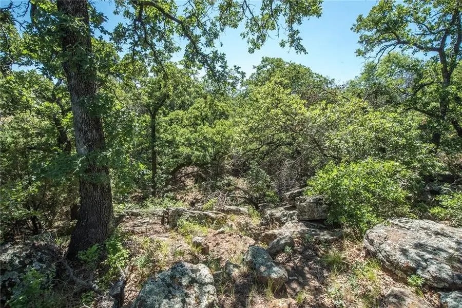 E48 Arts Way, Gordon, TX 76453 - Image #2