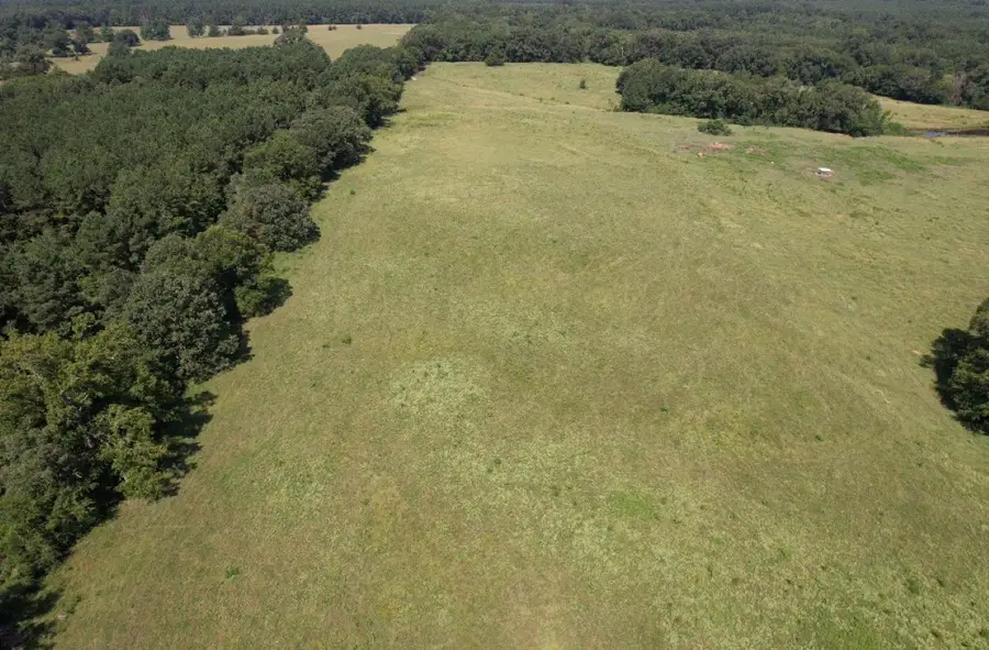 TBD-B Cr 4037, Timpson, TX 75975 - #3