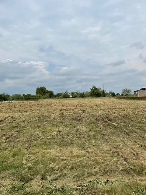 330 Cliff Ridge Lane, Venus, TX 76084 - Image #3