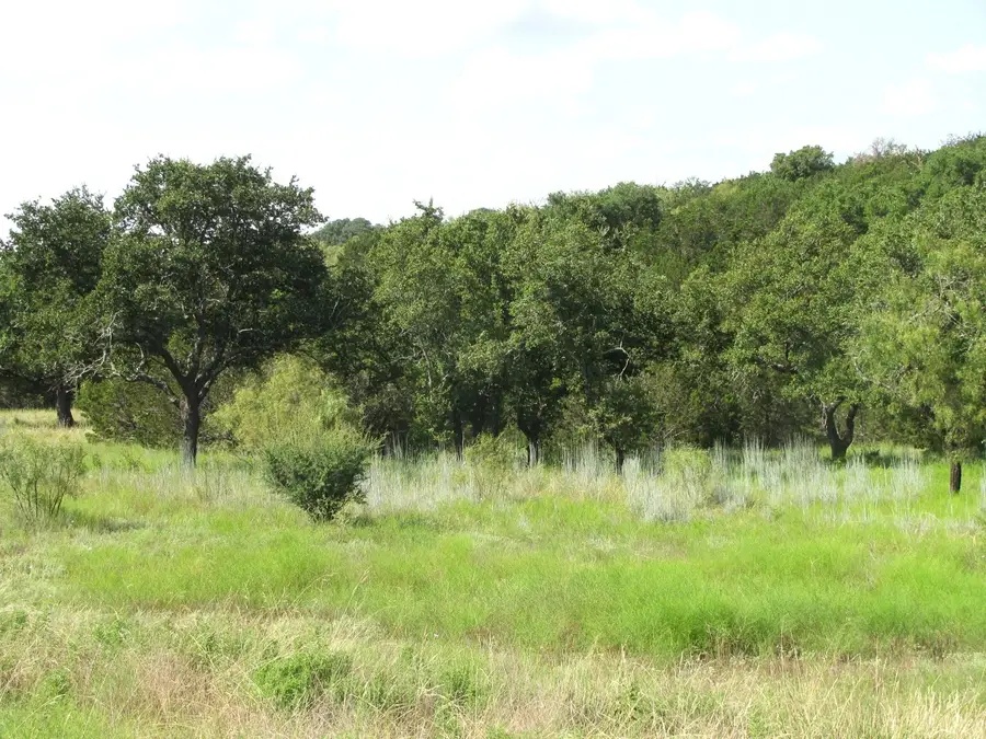 Lot 9 Ph 4 Pr 4212, Evant, TX 76525 - Image #2