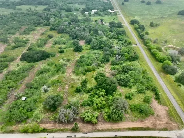 Lot 39 Pr Frio Estates Drive, No City, TX 78057 - Image #1