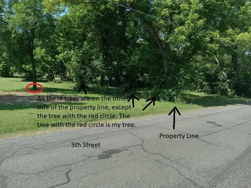 207 S 5th Street, Bonham, TX 75418 - Image #2