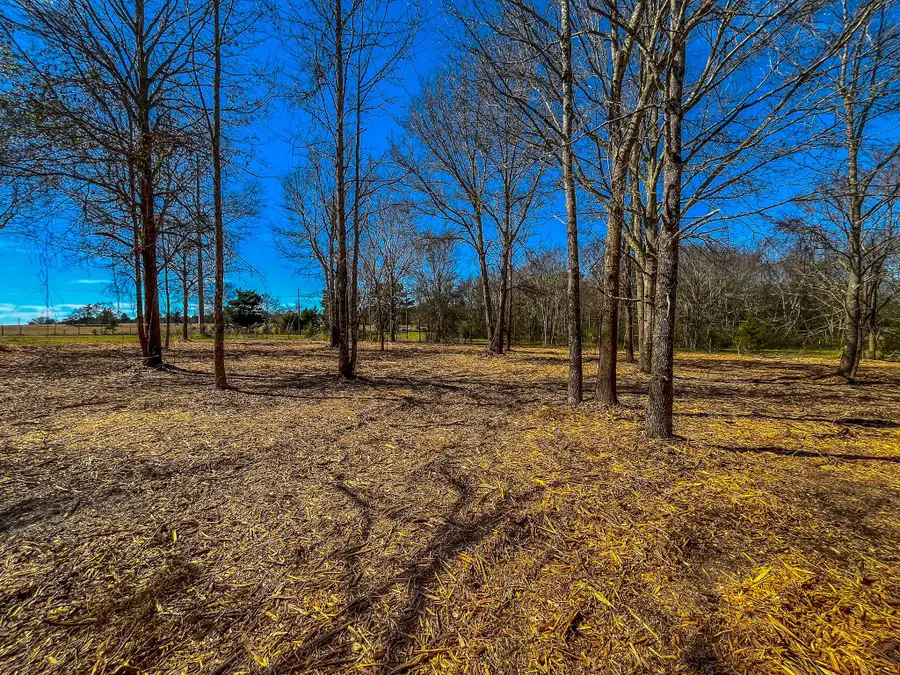 Tract 1 County Road 1713, Jacksonville, TX 75766 - Image #2