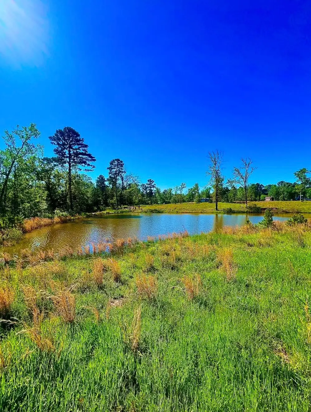 868 County Road 2920, Alba, TX 75410 - Image #1