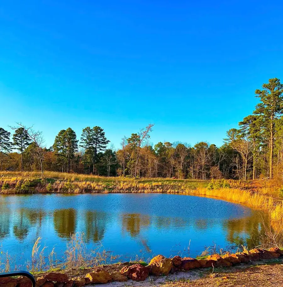 868 County Road 2920, Alba, TX 75410 - Image #2