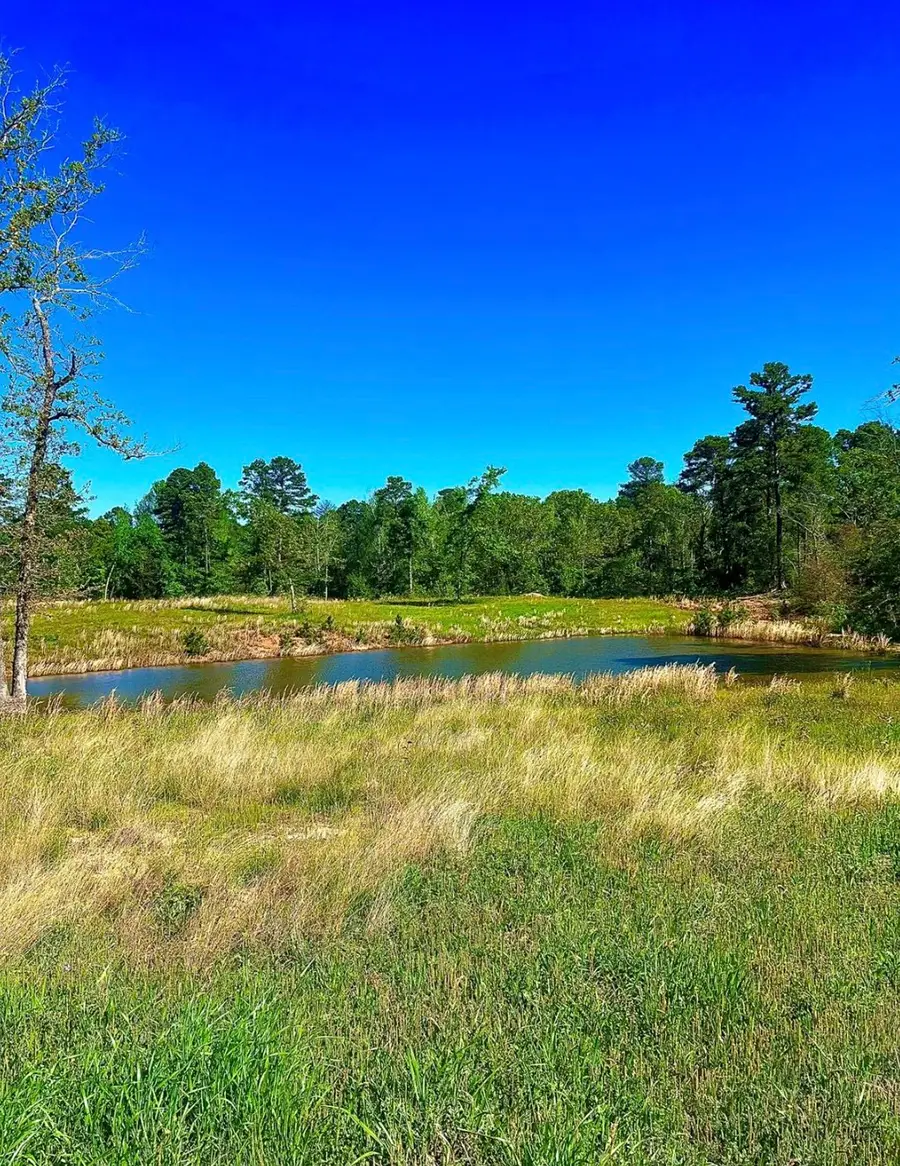 868 County Road 2920, Alba, TX 75410 - Image #3