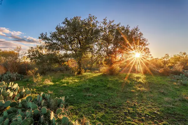 0000 S Us Hwy 87, Brady, TX 76825