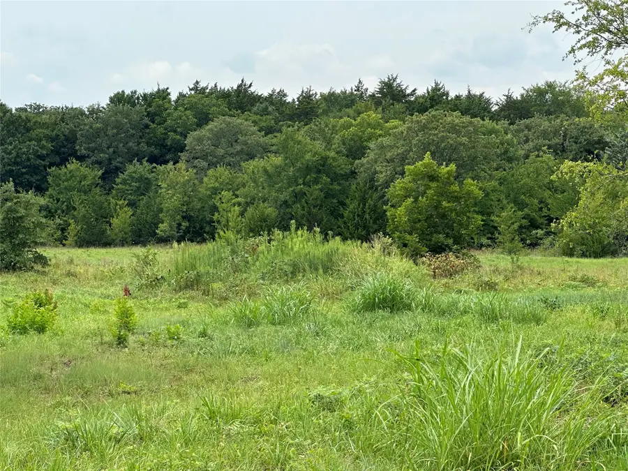 37.38 Fm-678, Whitesboro, TX 76273 - Image #2