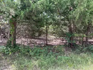 tbd Bass Lane, Quinlan, TX 75169 - Image #3