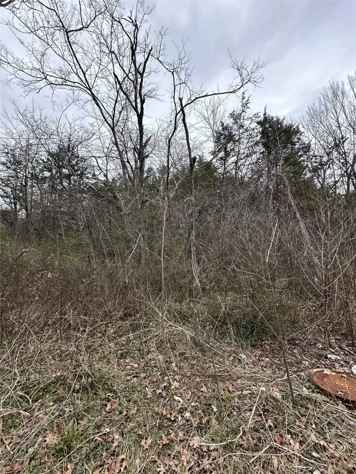 637 E Munson Street, Denison, TX 75021 - Image #1