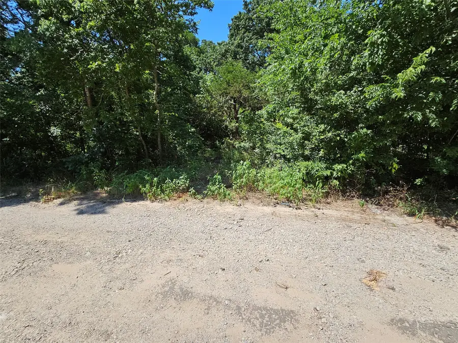 Lot 2 Bird Hill Drive, Quinlan, TX 75474 - Image #3