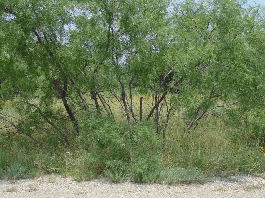 TBD Oak Hollow Drive, May, TX 76857 - Image #3