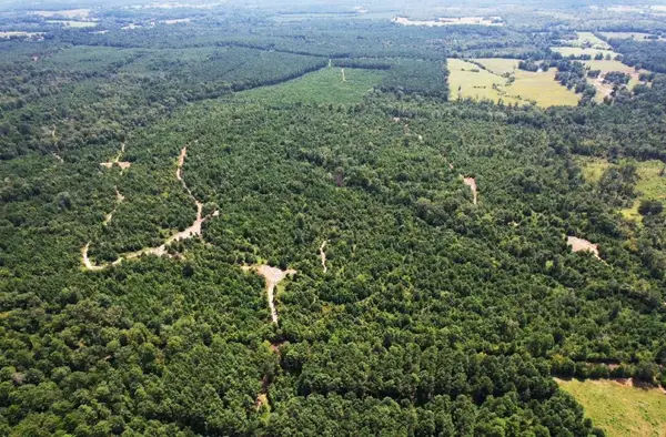 TBD County Road 3163, Laneville, TX 75667