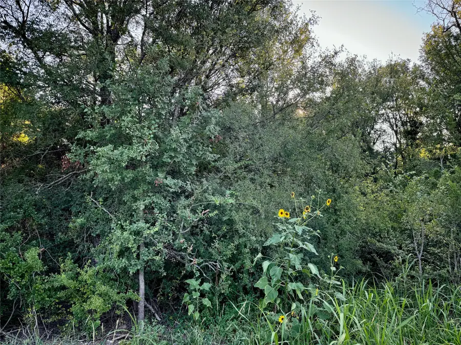 TBD County Road 1117, Cleburne, TX 76033 - Image #3