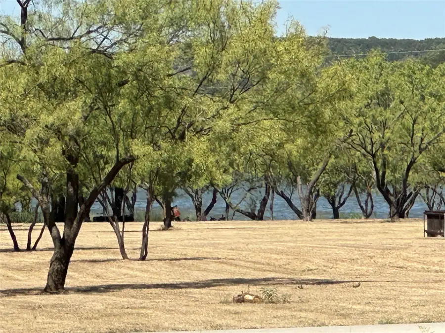 260 Cinnamon Teal, Graford, TX 76449 - Image #2