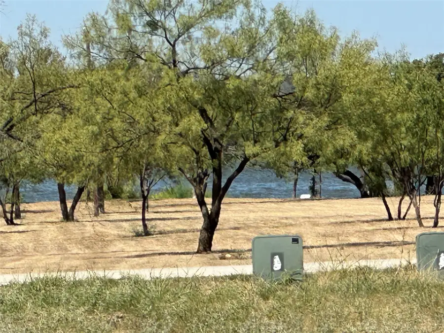 260 Cinnamon Teal, Graford, TX 76449 - Image #3