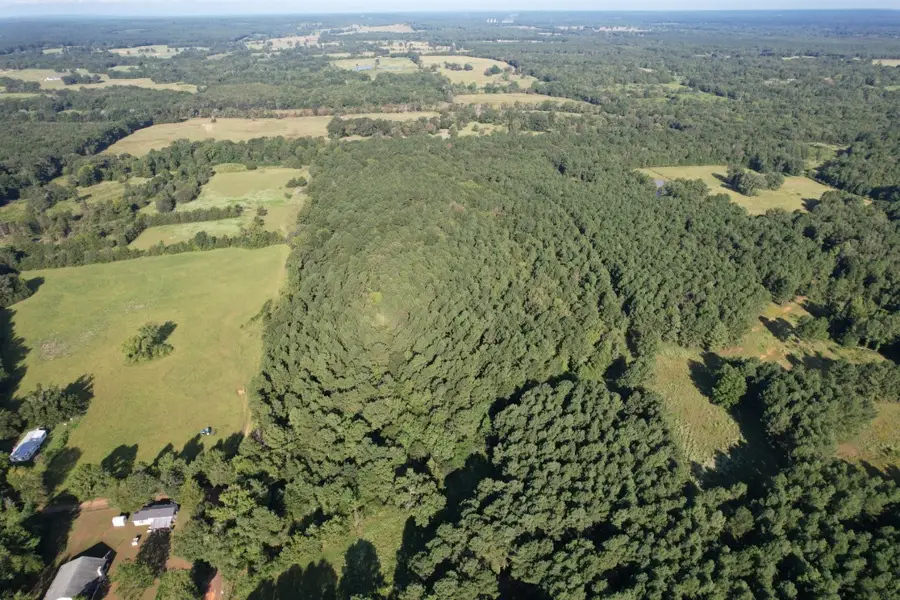 TBD County Road 168-1, Long Branch, TX 75669 - Image #2